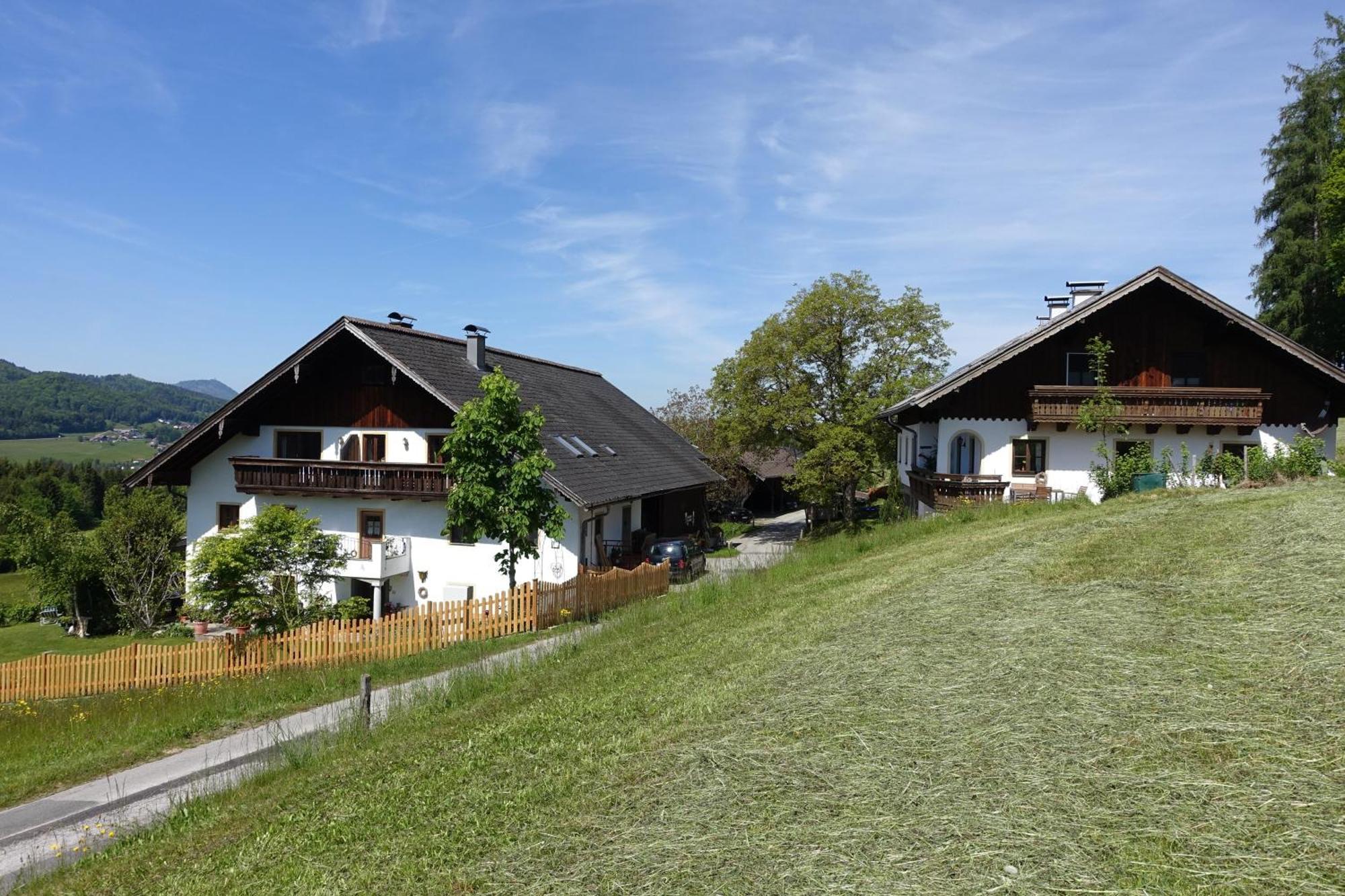Leitingerhof Villa Thalgau Exterior photo