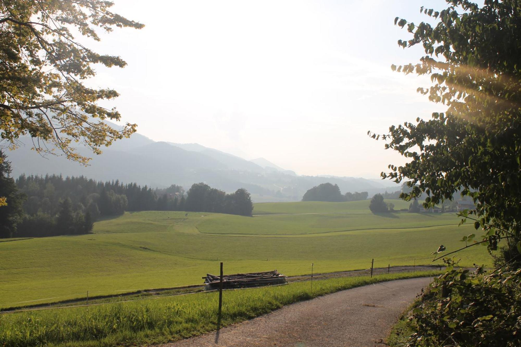 Leitingerhof Villa Thalgau Exterior photo